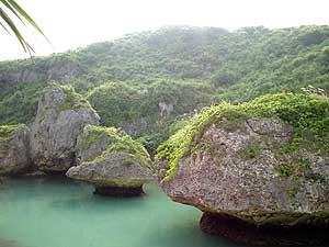 Природная *композиция* в жанре бонсэки // Irabu Island, Miyako Islands